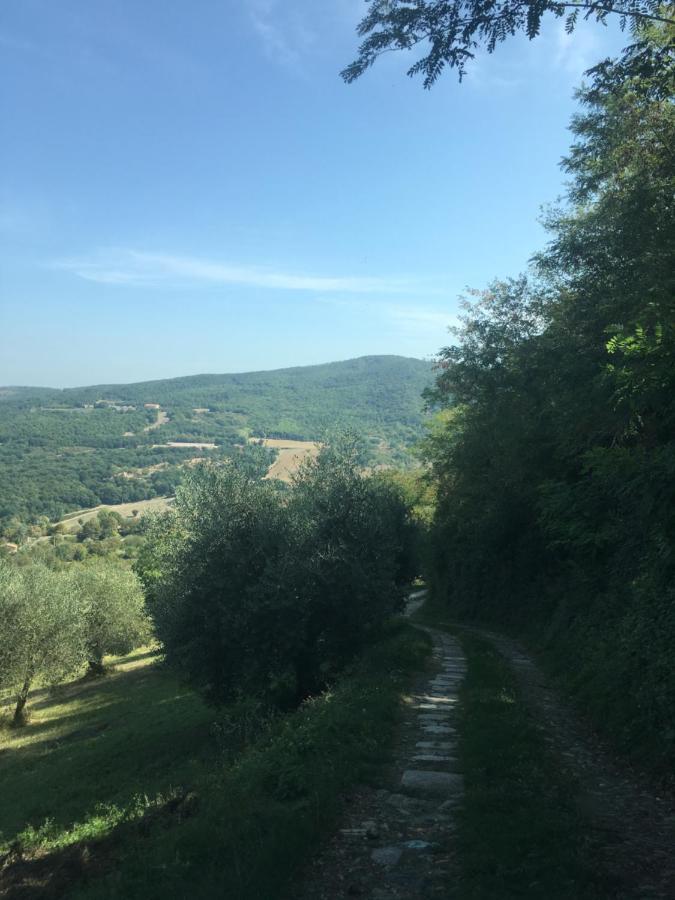 Villa San Regolino Whit Private Pool Radicondoli Eksteriør billede