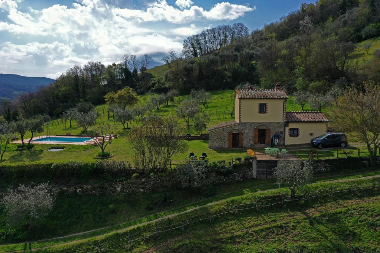 Villa San Regolino Whit Private Pool Radicondoli Eksteriør billede