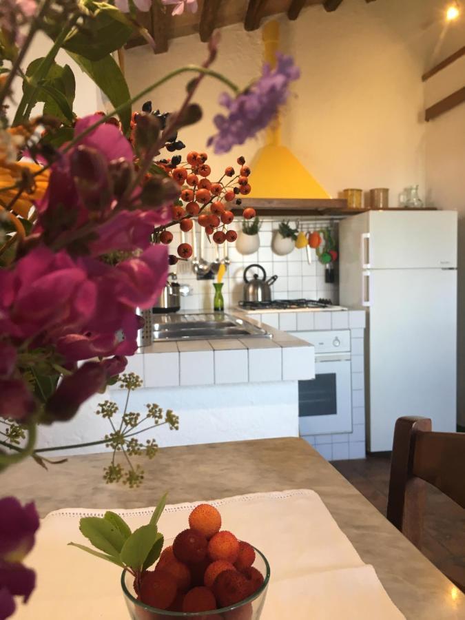 Villa San Regolino Whit Private Pool Radicondoli Eksteriør billede